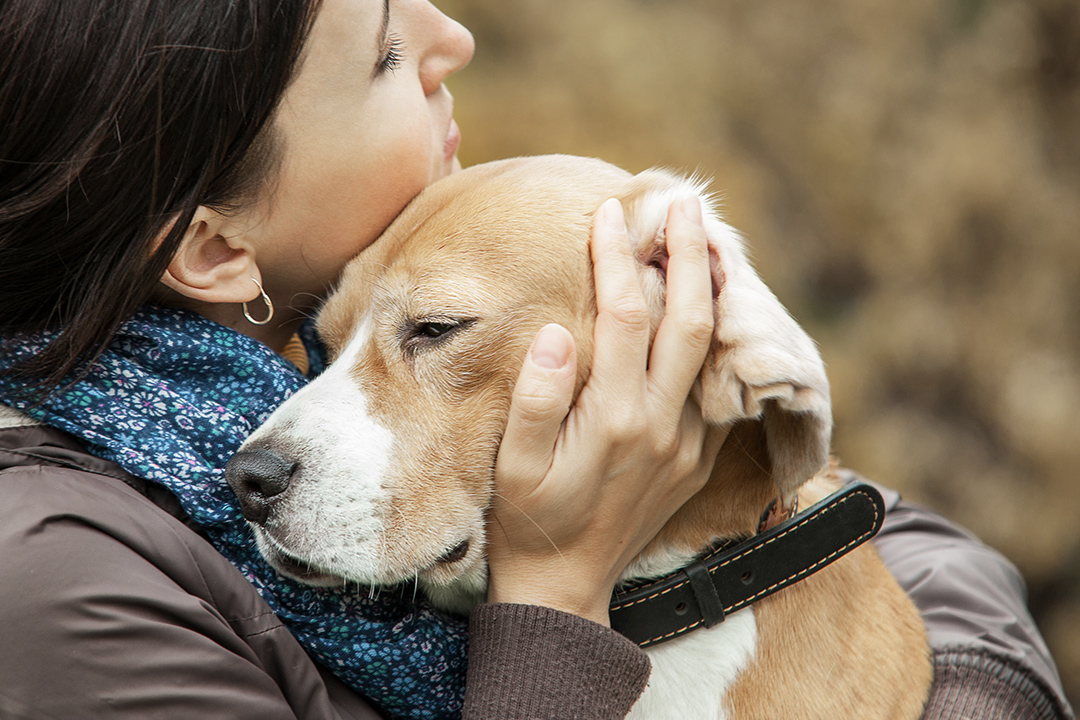 abbracciare un cane con parassiti