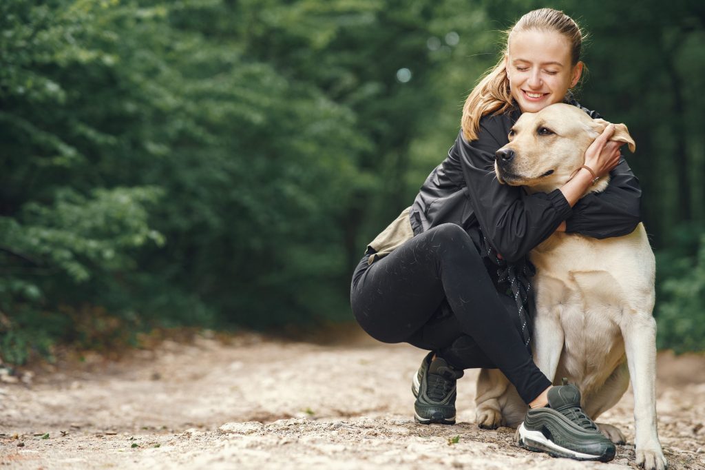 malattie dei cani