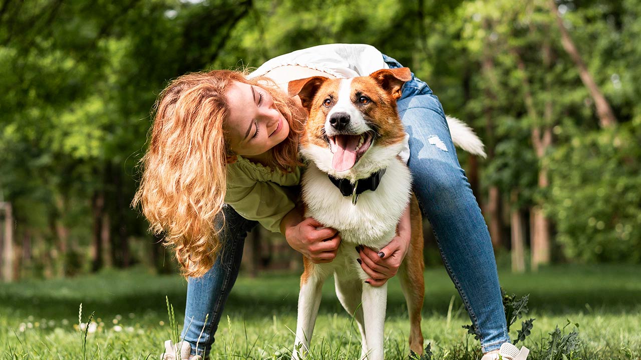 Scopri fantastiche attività da fare con il tuo pet